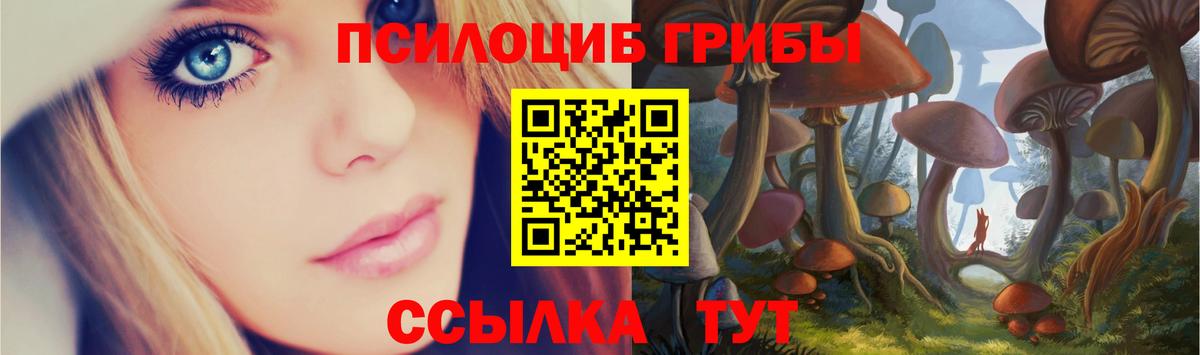 Галлюциногенные грибы Cubensis Сланцы